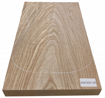 Preview: Body Swamp Ash, 1-pc., Unique Piece #197